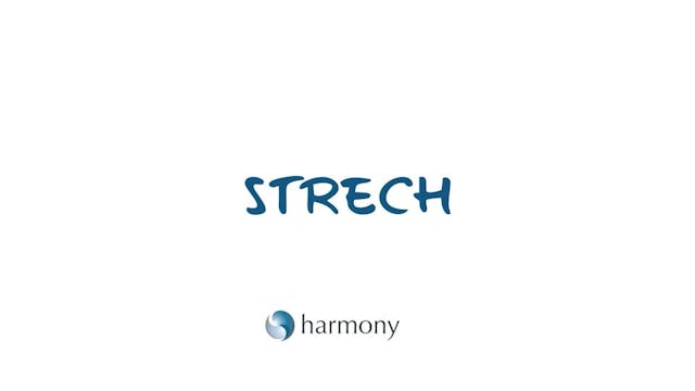 Stretch Bureau Haut du corps LAURA