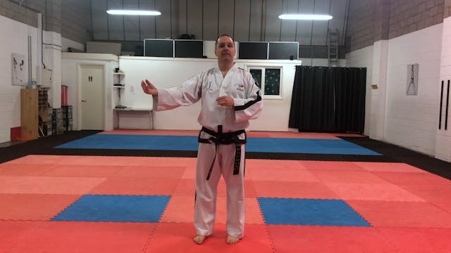 Sinewave after Front Snap Kick