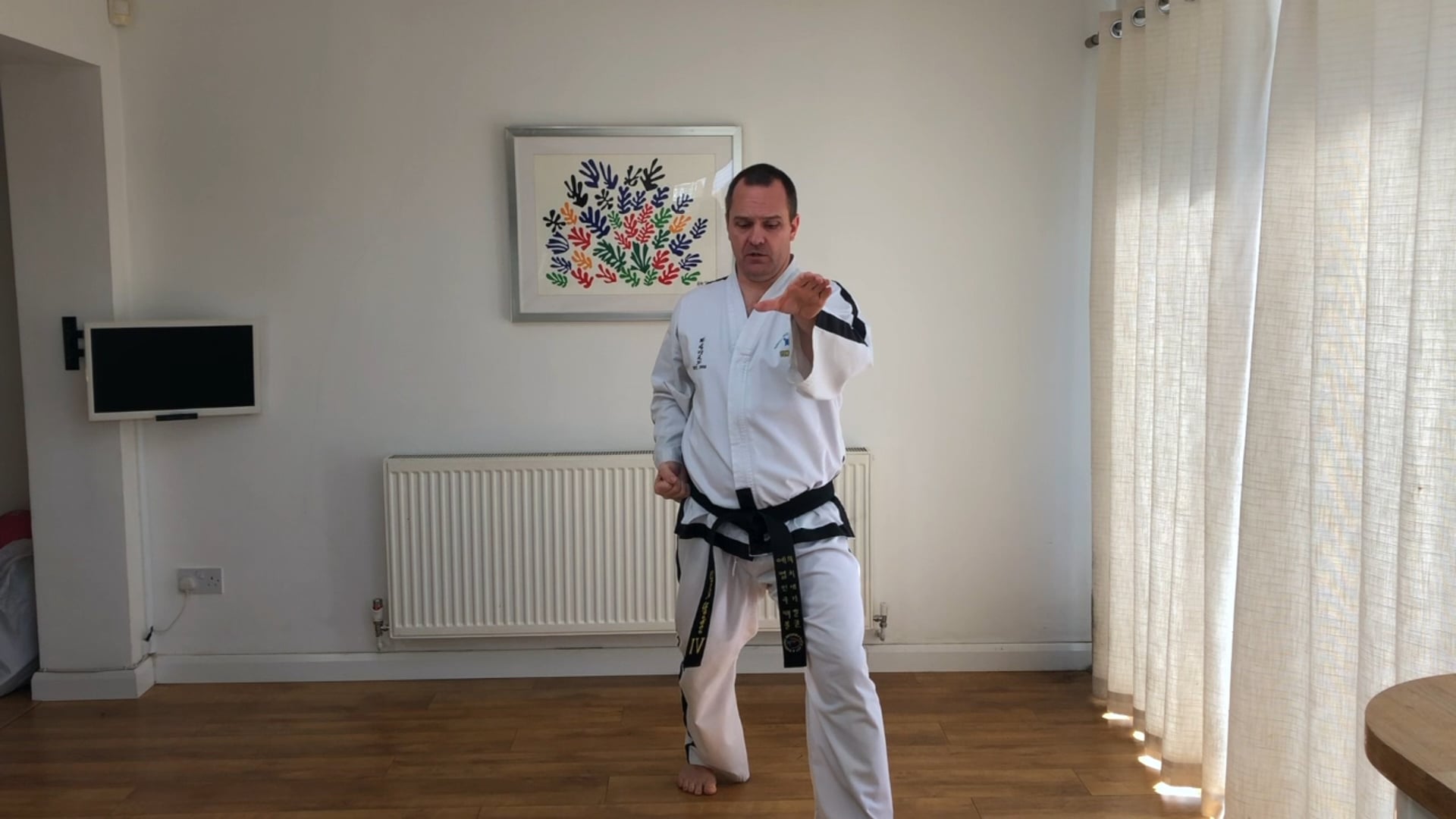 Harper Martial Arts Video