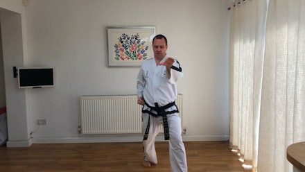 Harper Martial Arts Video