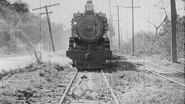 Teddy at the Throttle