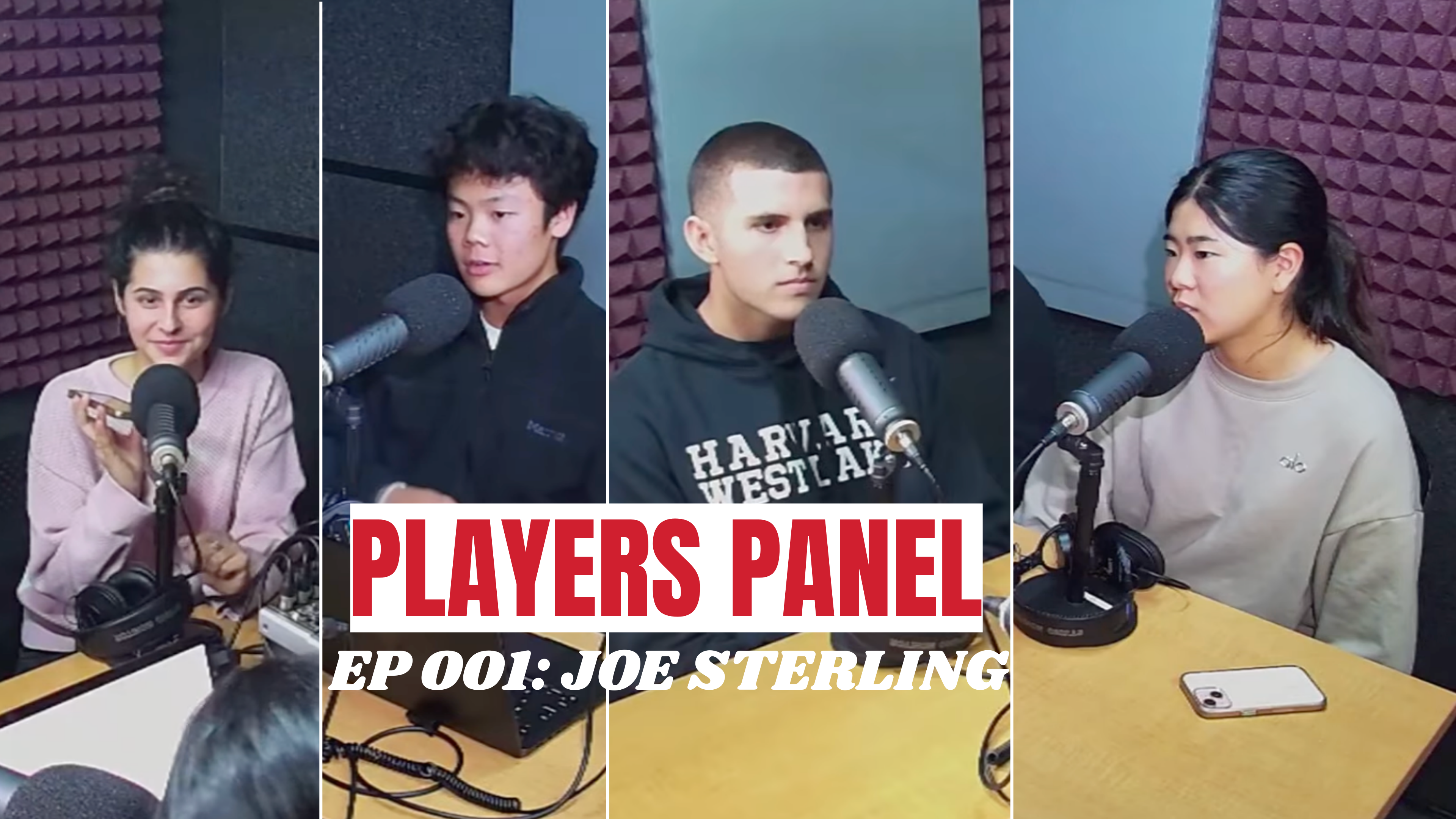 Players Panel