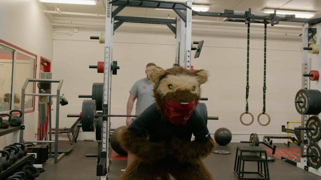 Buddy Wolverine | Weight Room