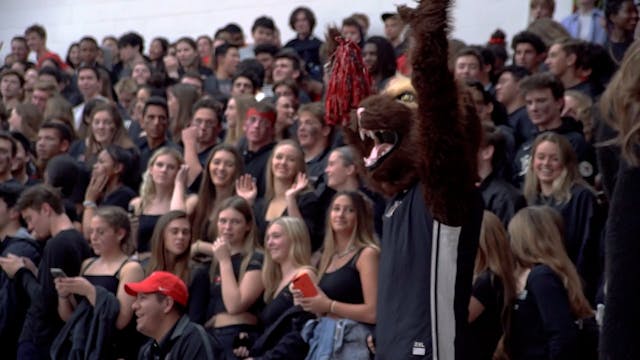 Buddy Wolverine | Basketball
