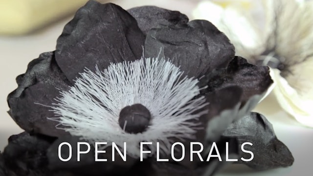 Open Florals