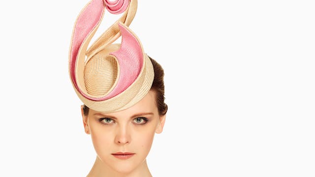 Parisisal Fundamentals