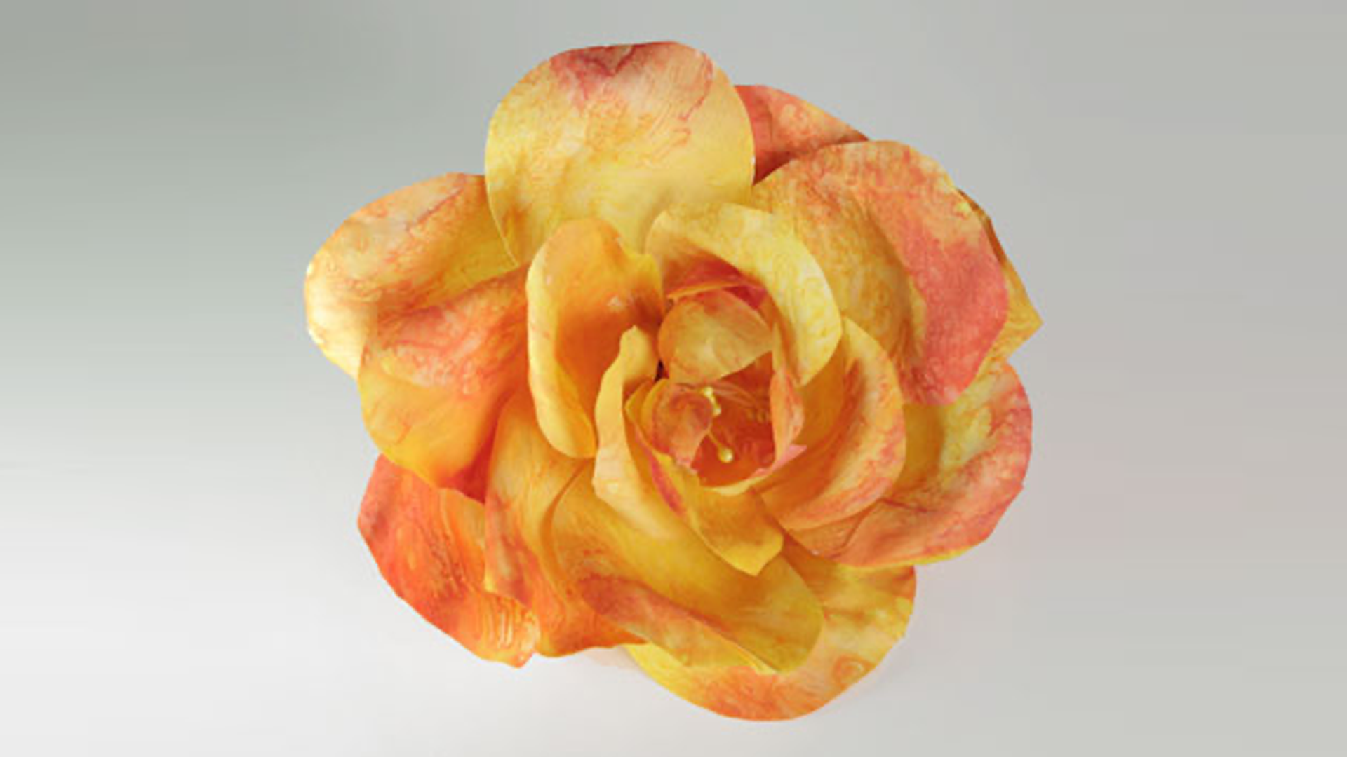 French Flower Making Rose Patterns