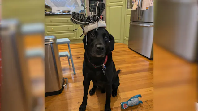 Hat Model Richie McPaw