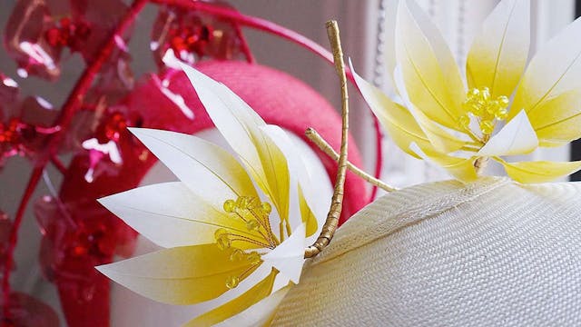 Stamens & Structure
