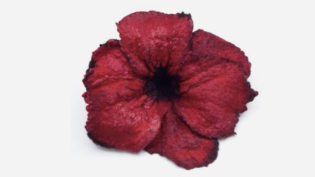 Felted Poppy
