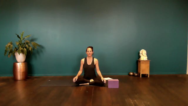 Healthy Hips
