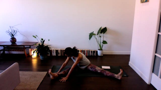 Slow & Steady Wins the Race