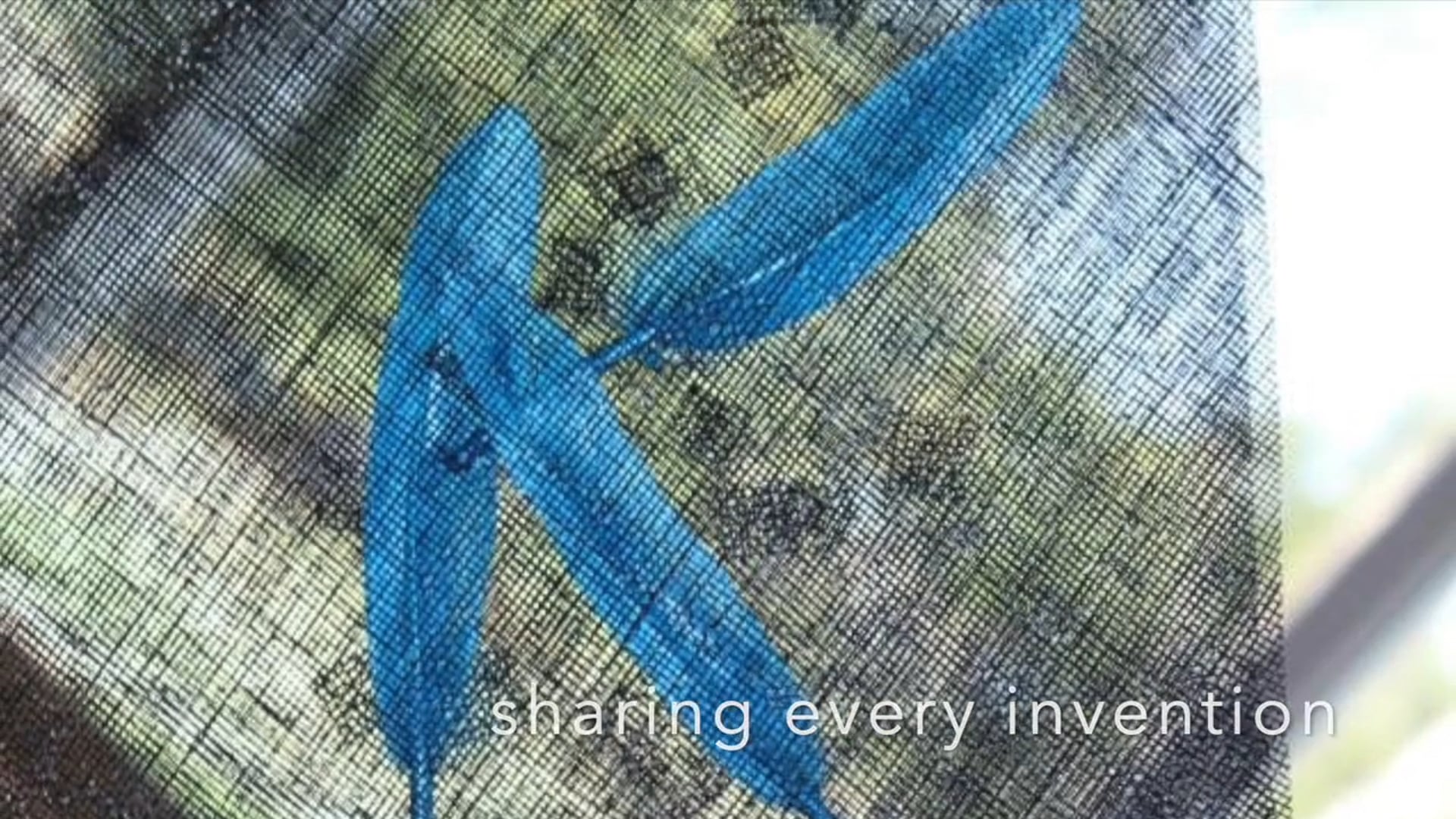 Where, When, Who, Why__