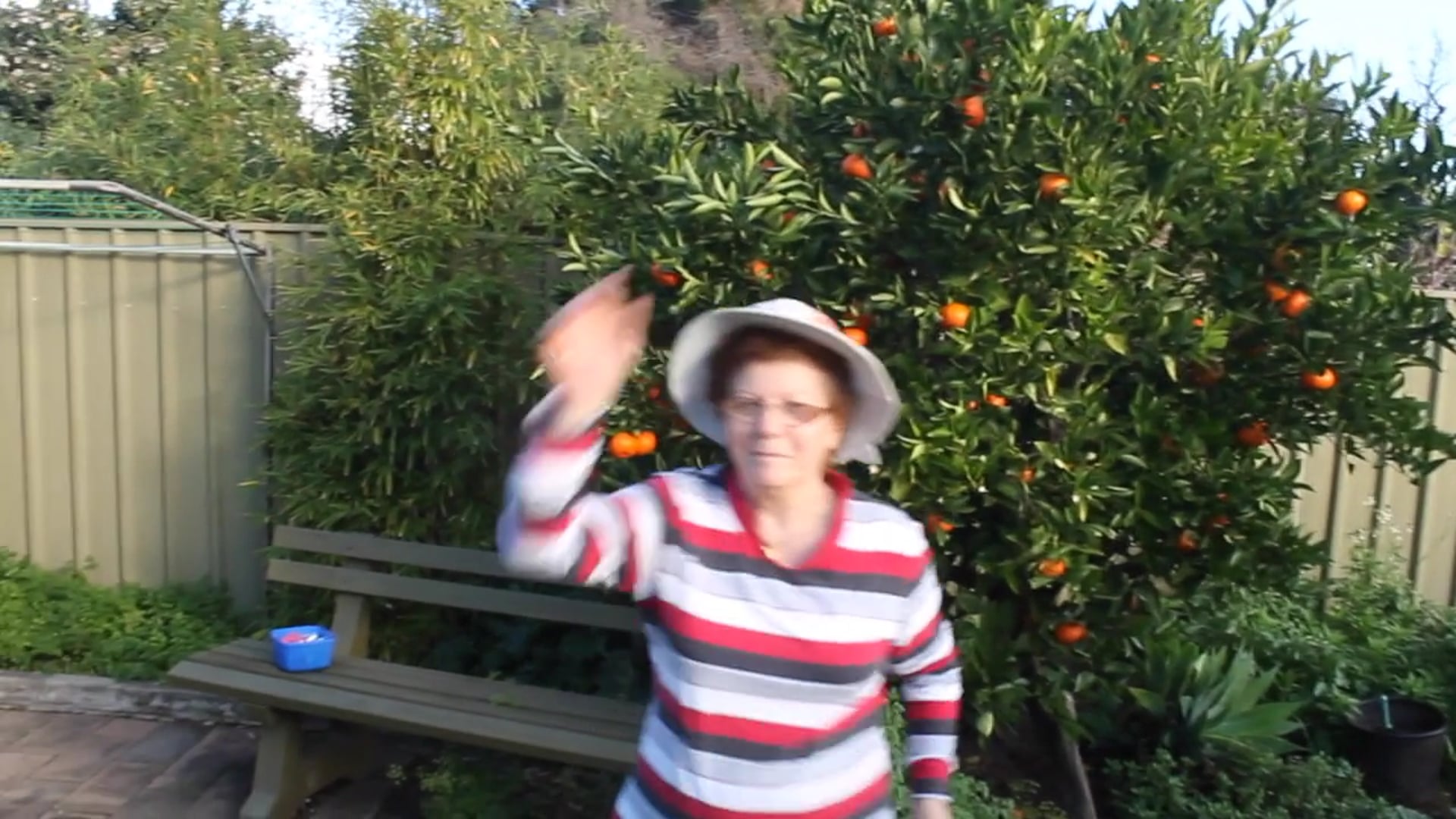 The Happy Hat Movie - 2014