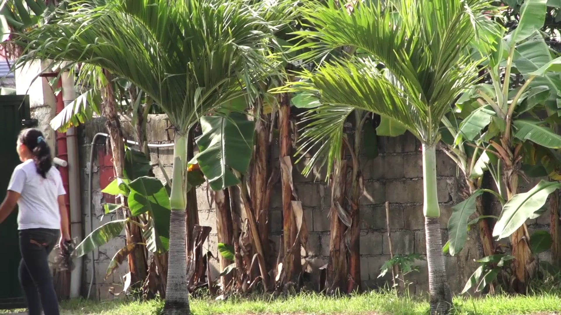 SunYorkos Philippines