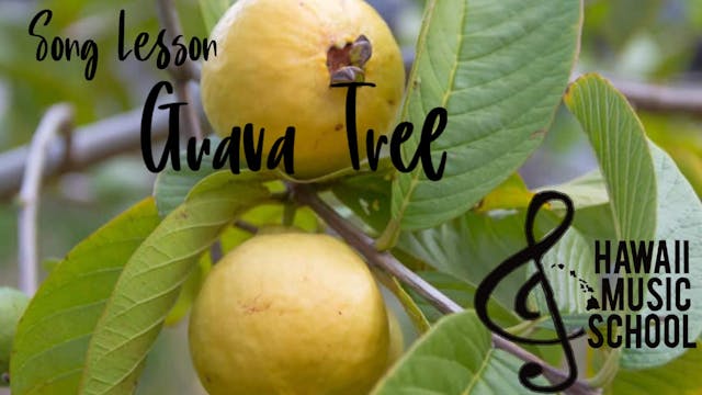 Guava Tree