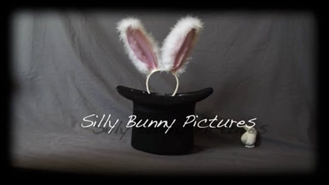 Abrupt Decision (2011)