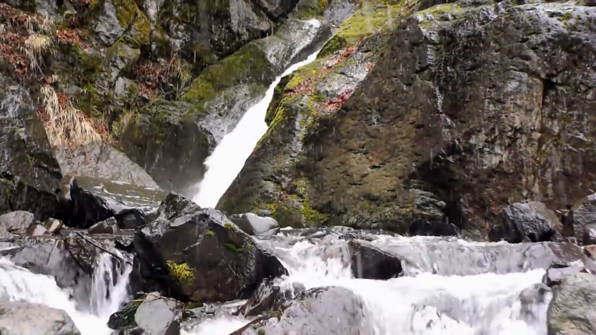 Forgotten Hero (2014)