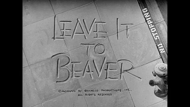 Leave It To Beaver (1957) S1 E6 Broth...