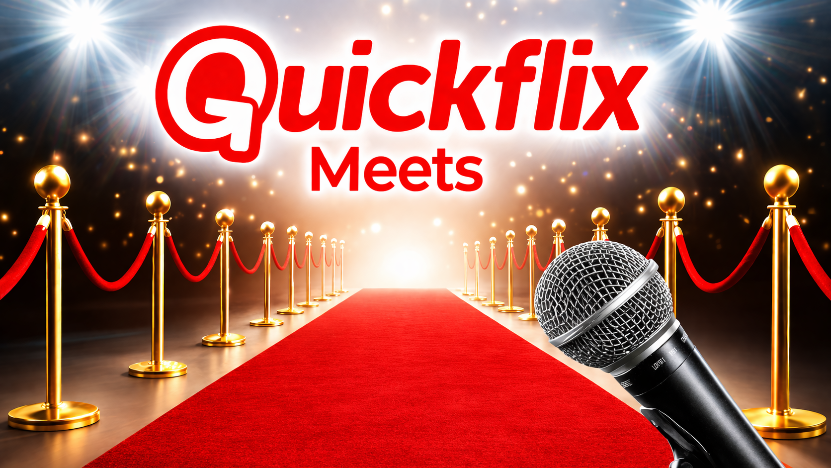 Quickflix Meets... (2011)