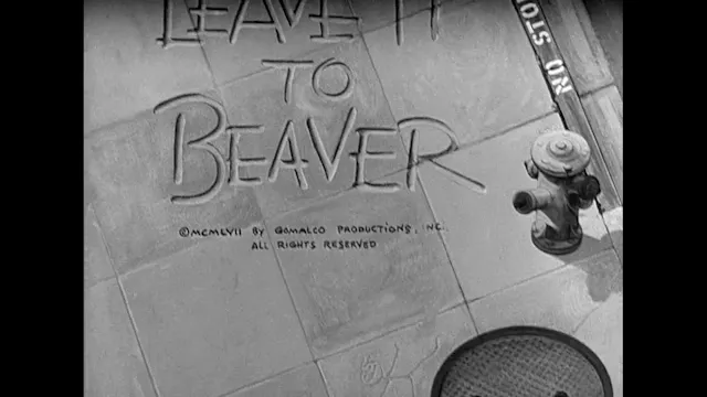 Leave It To Beaver (1957) S1 E5 New N...