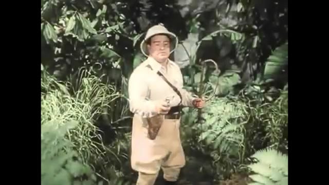 Africa Screams (1949)