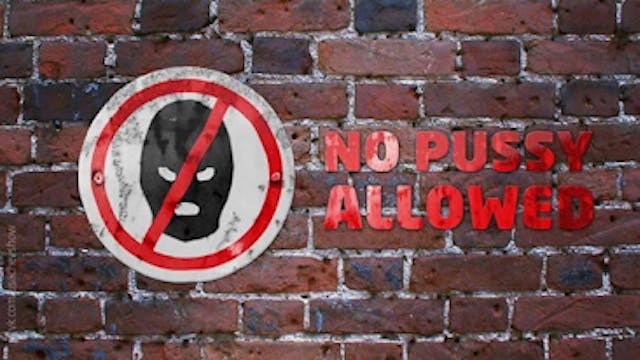No Pussy Allowed