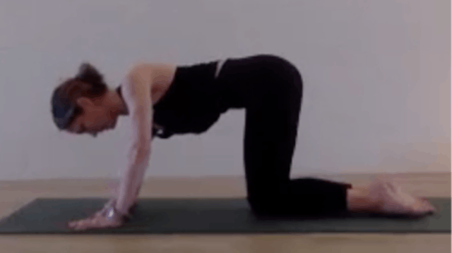 LIVE 7 - Yogalates