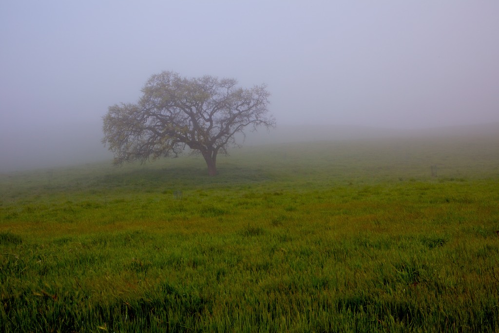 Santa Ynez Valley (with music by Steven Halpern)