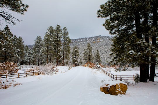 Winter Snow (with music by Steven Hal...