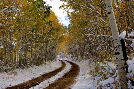 Fall Colors Colorado & Winter Snow Bu...