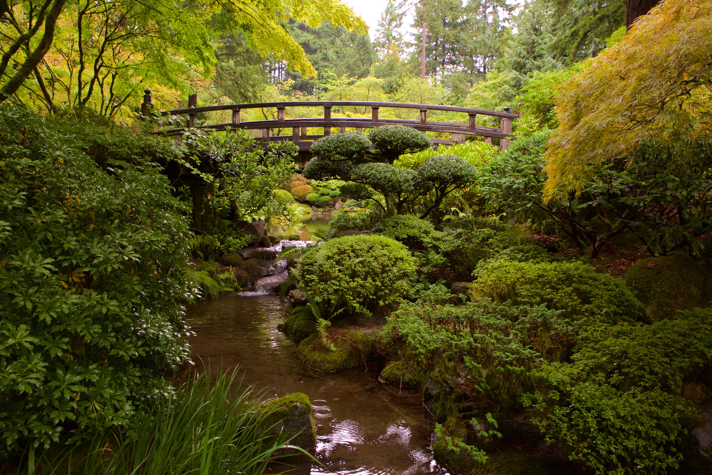 Portland Japanese Garden