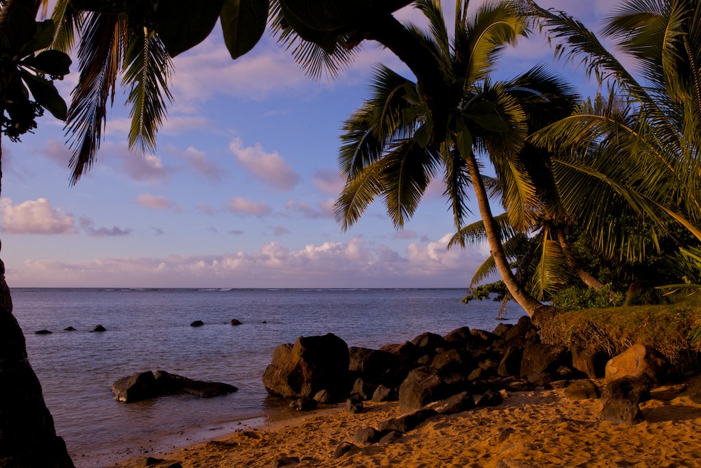 HDSereneScapes® Natural Sound Films