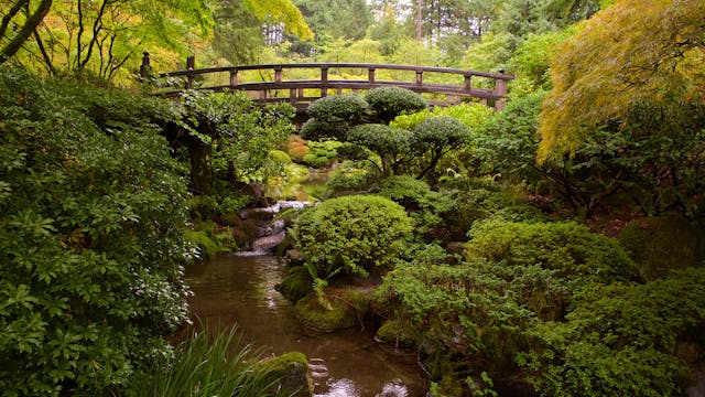 Portland Japanese Garden with Music by Steven Halpern