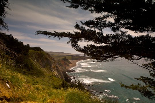 Santa Ynez Valley-Big Sur Coast-Redwo...