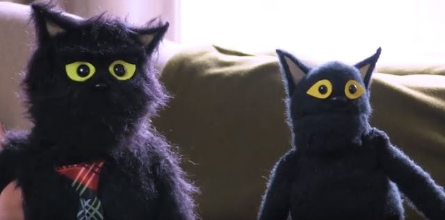 Animal Behavior - Series One