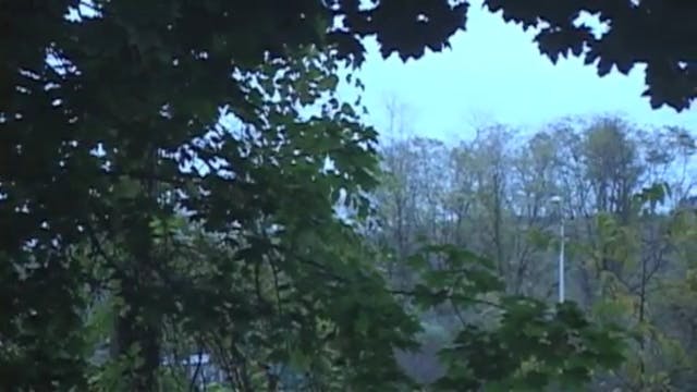 The Wandering - Music Video