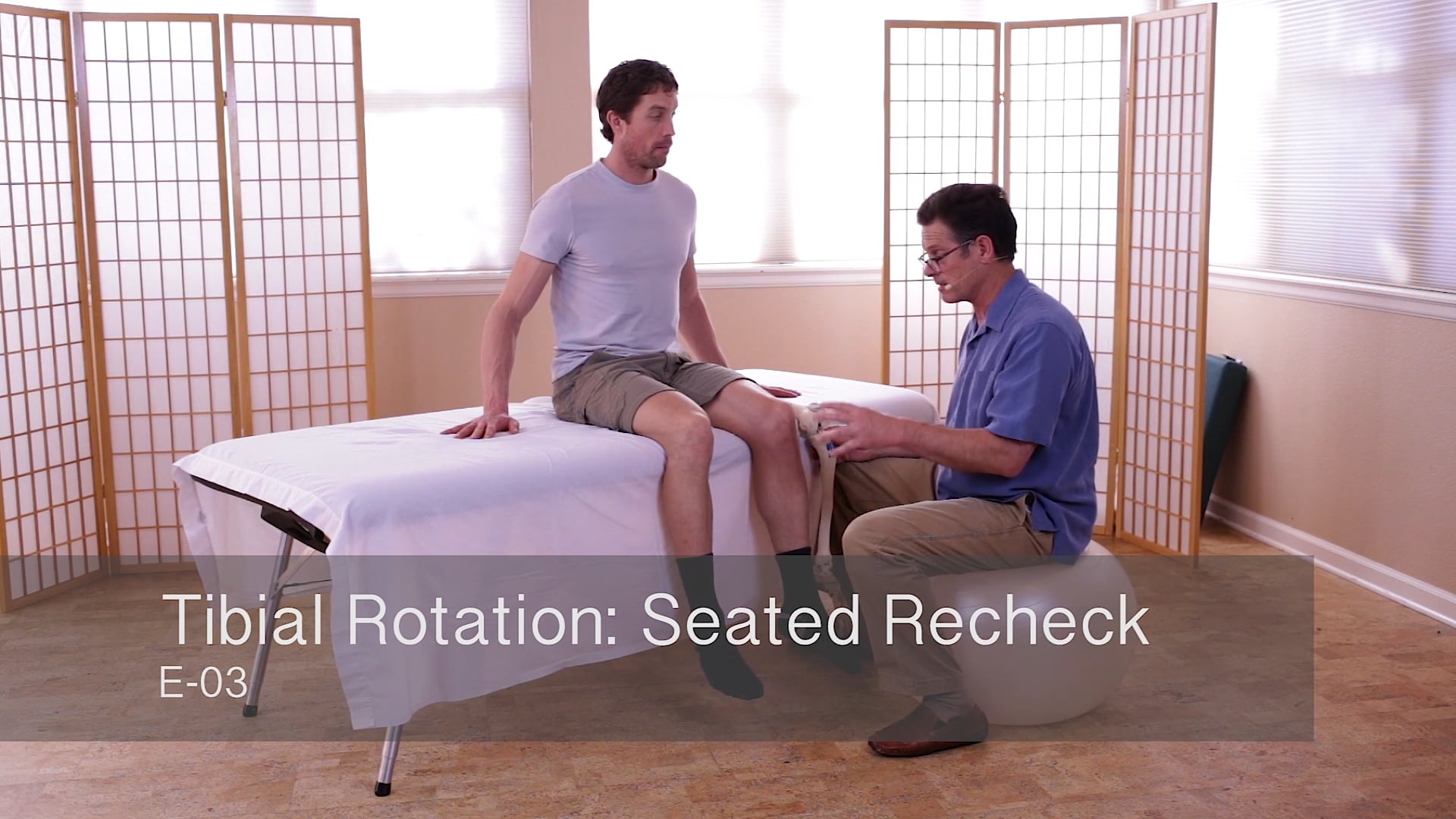 Knee E. Integration Sequence - Til Luchau