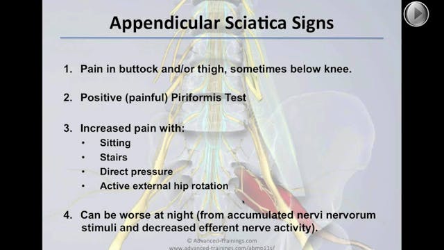 Bonus: Sciatica and Nerve Pain Webina...
