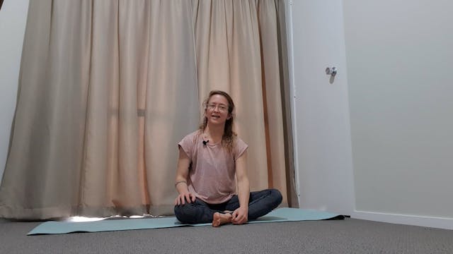 Series - Side plank leg lifts 3