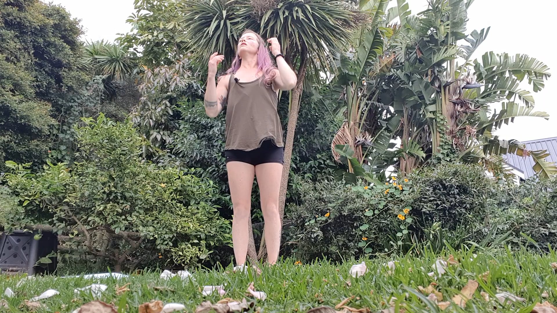 Int 15 Full Body - Teaser Prep