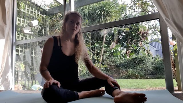 Basic ab and glute (all lying)