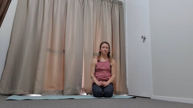 Series - Side plank leg lifts 1