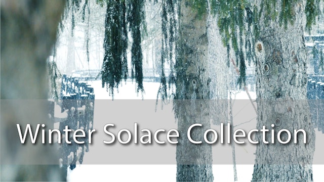 Featured Collection ~ Winter Solace