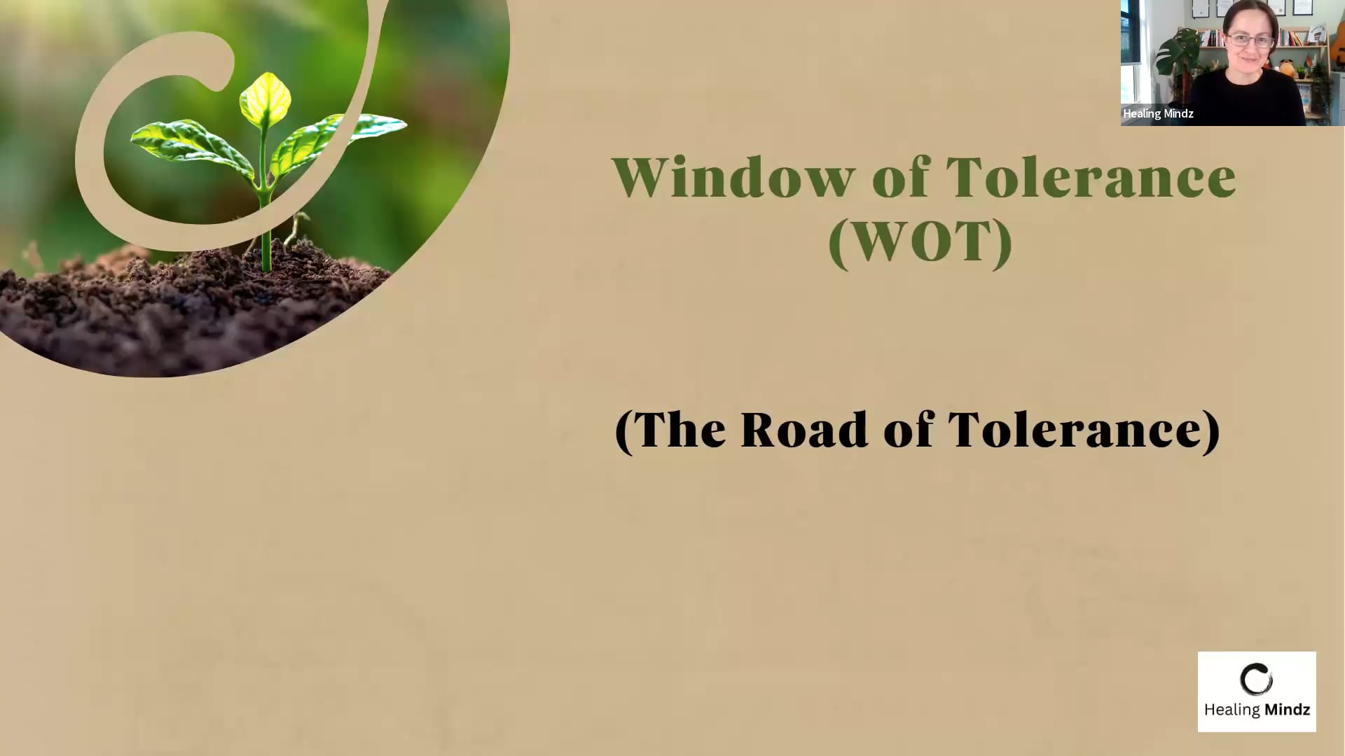 Window of Tolerance
