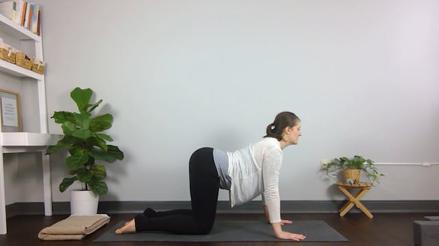 Gentle Morning Yoga