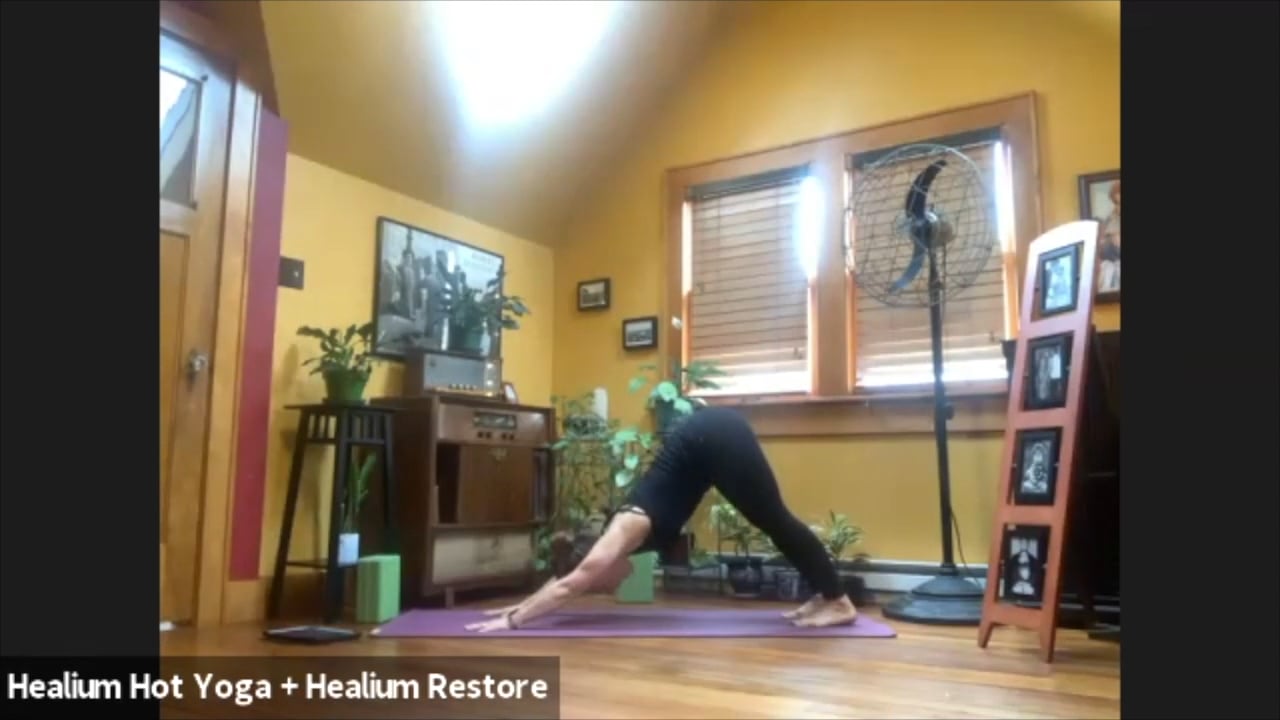 4/6/20 - Sarah - Vinyasa Flow