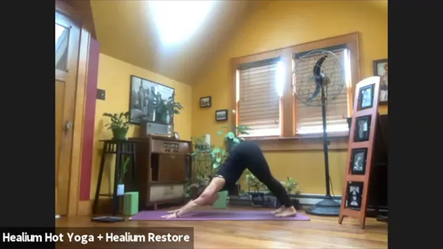 4/6/20 - Sarah - Vinyasa Flow