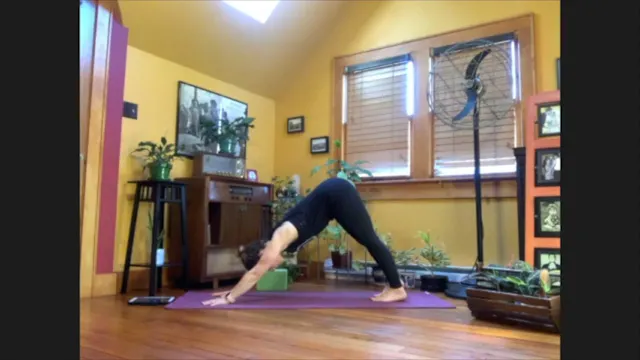 5/20/20 - Sarah - Vinyasa Flow