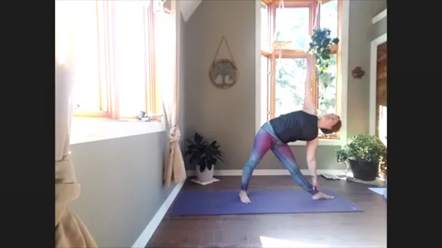 5/9/20 - Erin - Vinyasa Flow